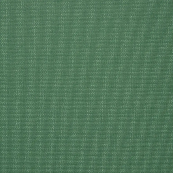 Vert foncé 016