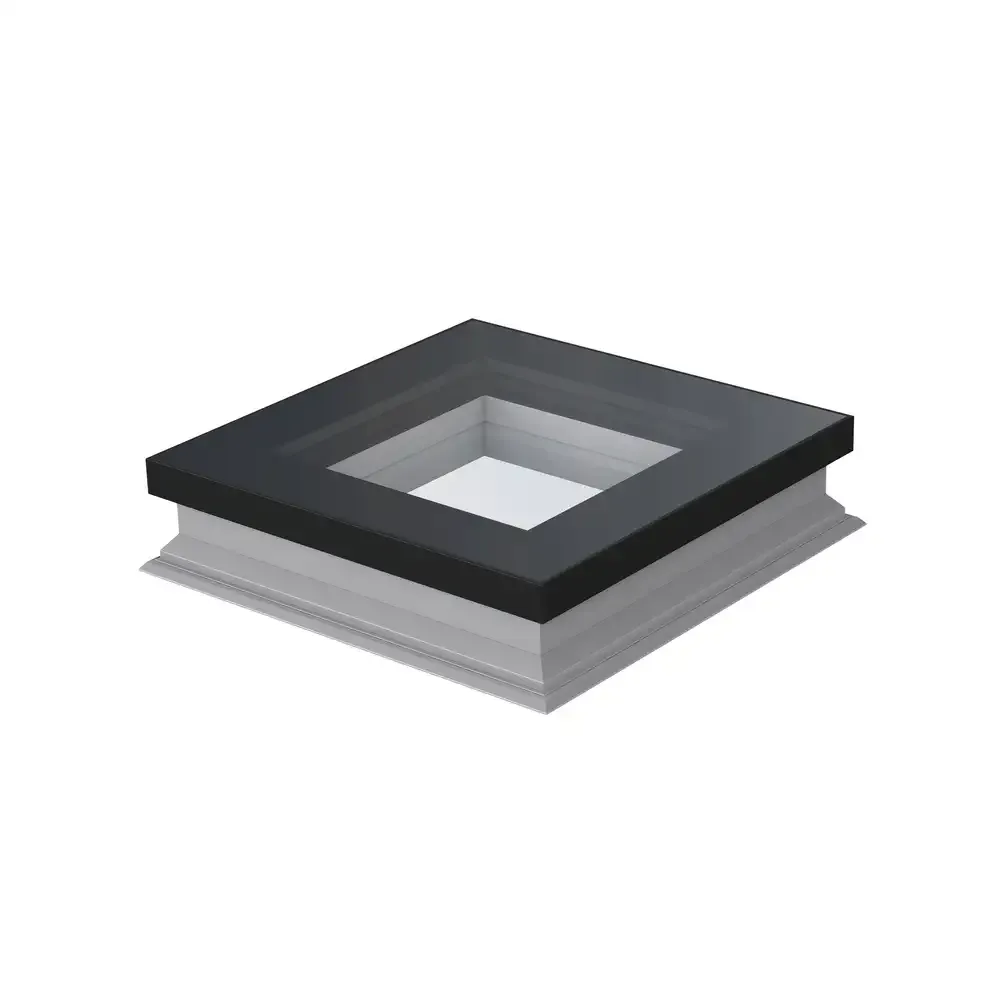 Fenêtre pour toits plats DXF DU6